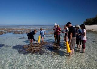 Lady Elliot Island Eco Resort ภายนอก รูปภาพ